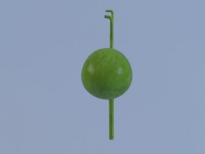 gallbladder max 2011 3D मॉडल