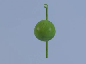 gallbladder max 2011 3D Model