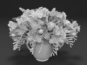 flowers  hyacinth freesia tulip 3D Модель