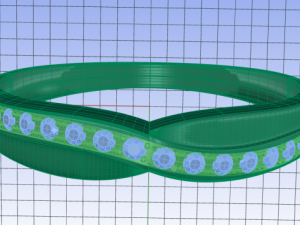 ring Model 3D