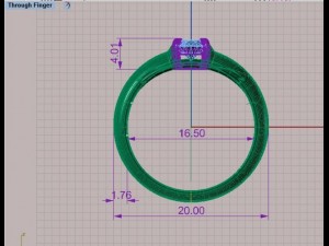 ring001 3D Model