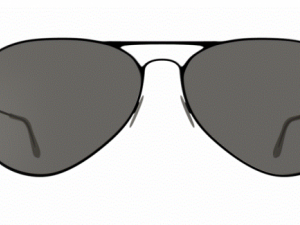 sunglasses Modèle 3D