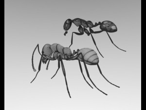 ant anatomy Modelo 3D