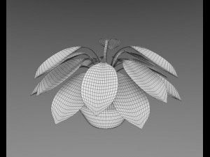 aglaonema plant 3D Modell