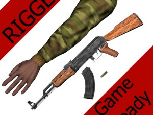 fps hands rigged Modello 3D