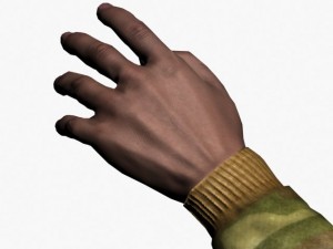 fps hands rigged 3D 模型