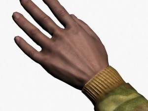 fps hands rigged 3D 模型