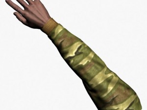 fps hands rigged 3D 模型
