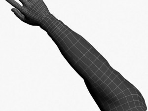 fps hands rigged 3D 模型