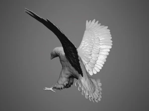 Eagle scupture 3D Print Model