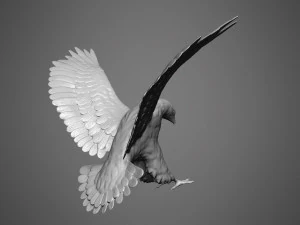 Eagle scupture 3D Print Model