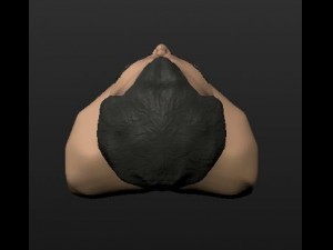 black haired man head 3D Model