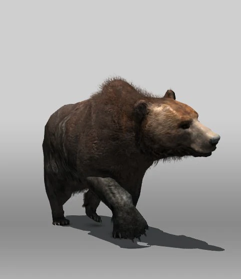 भूरा भालू 3D मॉडल .c4d .max .obj .3ds .fbx .stl .blend 