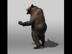 grizzly bear Modèle 3D