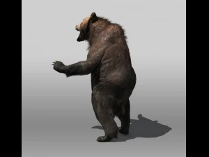 भूरा भालू 3D मॉडल