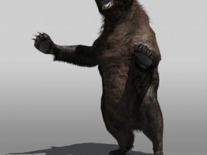 grizzly bear Modèle 3D