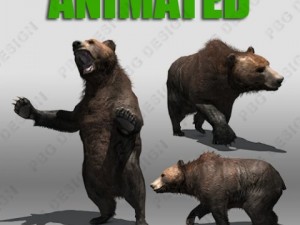grizzly bear animated 3D-Modell