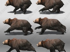 grizzly bear animated Modello 3D
