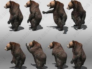grizzly bear animated Modello 3D