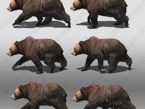 grizzly bear animated Modello 3D