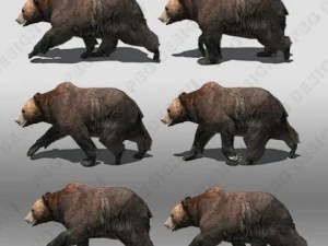 grizzly bear animated 3D Model