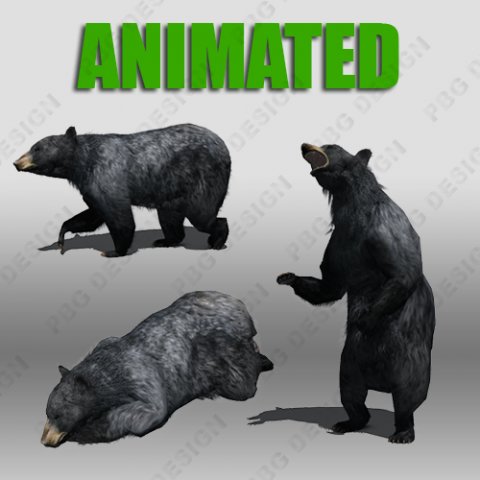 black bear animated Modelo 3D .c4d .max .obj .3ds .fbx .stl .blend 