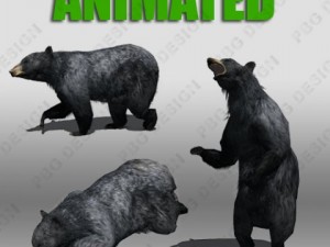 black bear animated 3D-Modell