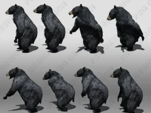 black bear animated 3D Model