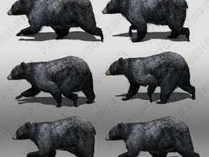 black bear animated Modelo 3D
