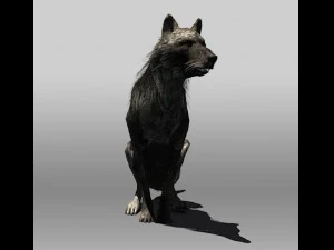 black wolf 3D Model