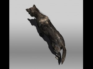 black wolf 3D-Modell