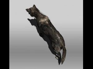 black wolf 3D Model