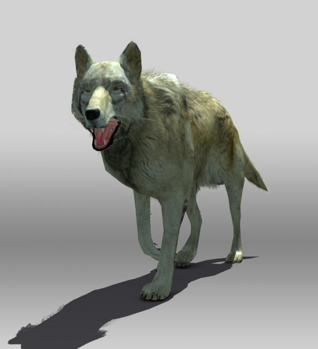 timber wolf Modèle 3D .c4d .max .obj .3ds .fbx .stl .blend 