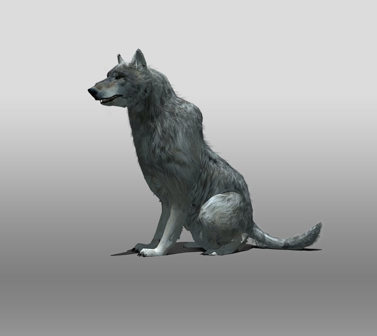 Сумрачный волк 3 стадия. Волк 3d. Волк 3д модель. Щенок волка 3d модель. Timber Wolf (character).