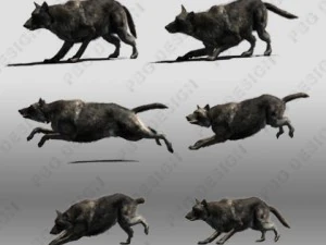 black wolf animated 3D Model