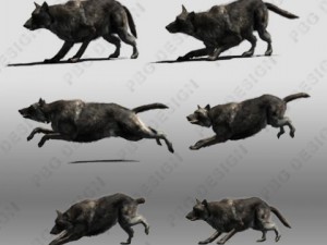black wolf animated 3D Model