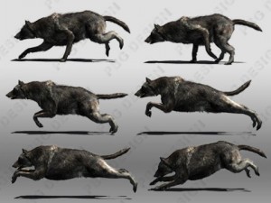 black wolf animated 3D Model
