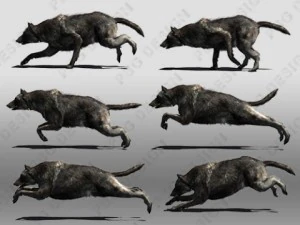 black wolf animated 3D Model