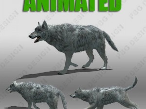 grey wolf animated 3D-Modell