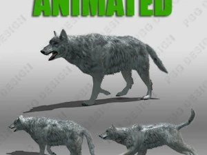 gri kurt animasyonlu 3D Model