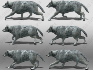 grey wolf animated Modelo 3D