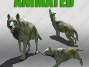 loup des bois anim&eacute; Modèle 3D