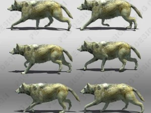 timber wolf animated 3D Model