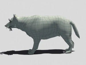 timber wolf animated 3D Model