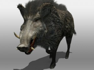 wild boar 3D-Modell