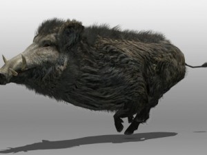 wild boar Modelo 3D