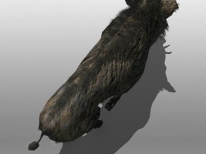 wild boar Modelo 3D