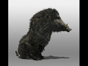 wild boar Modelo 3D