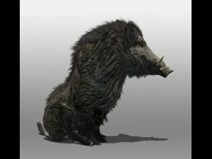 wild zwijn 3D Model