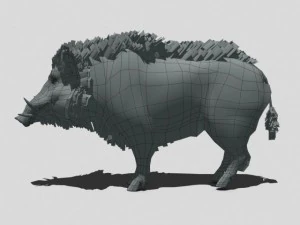 wild zwijn 3D Model